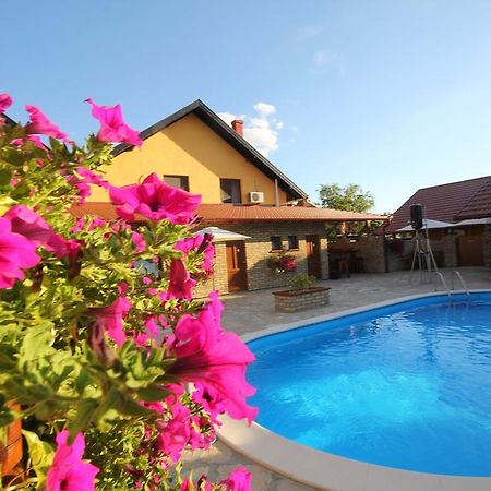 Guest House Vila Alexandar Palić Eksteriør billede